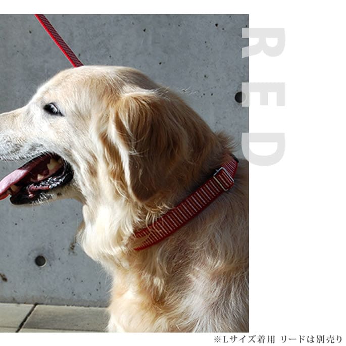 大型犬用　首輪・リードセットで★ASHBURY ★ゴールデンレトリバー 大型犬用ハーネス｜ASHU STEP ステップ ハーネス Lサイズ
