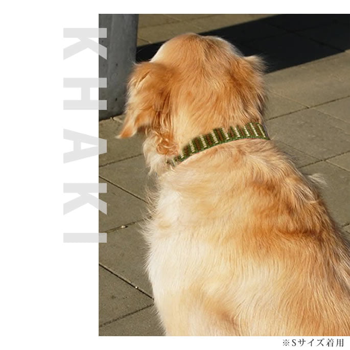 大型犬用　首輪・リードセットで★ASHBURY ★ゴールデンレトリバー h0399.jpg