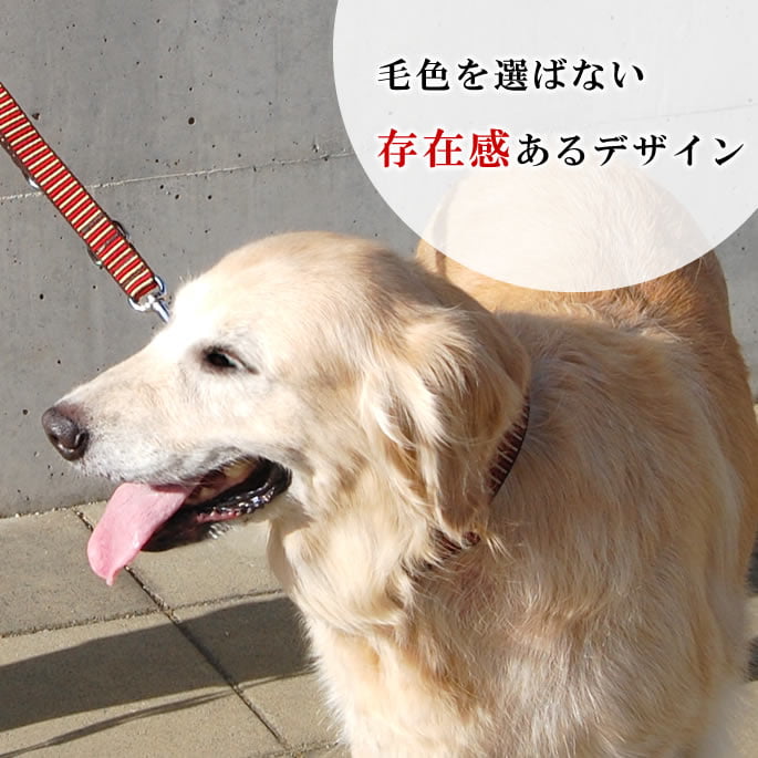 大型犬用首輪｜ASHU STEP ステップ カラー Lサイズ