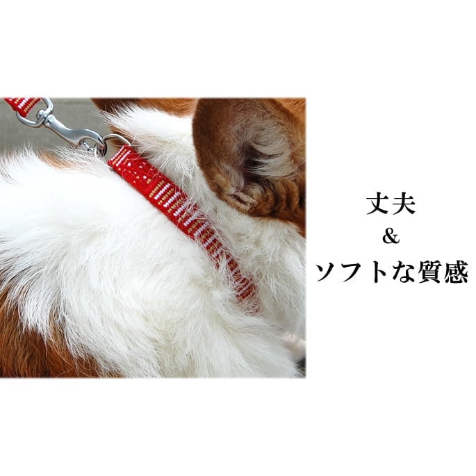 首長犬 Amazon | TTFP 無駄吠え防止首輪 小中型犬専用首輪 53g超軽量