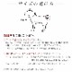 �緿���Ѽ��ء�ASHU��STEP�����ƥåס����顼��L������
