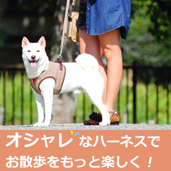 犬用ハーネス 小型犬｜ASHU ニットウェアハーネス S/Mサイズ