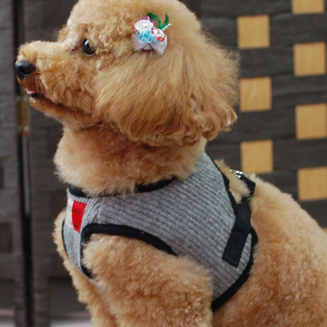 ���ѥϡ��ͥ�����������ASHU���˥åȥ������ϡ��ͥ���M�������ڥ꡼�ɤ�������