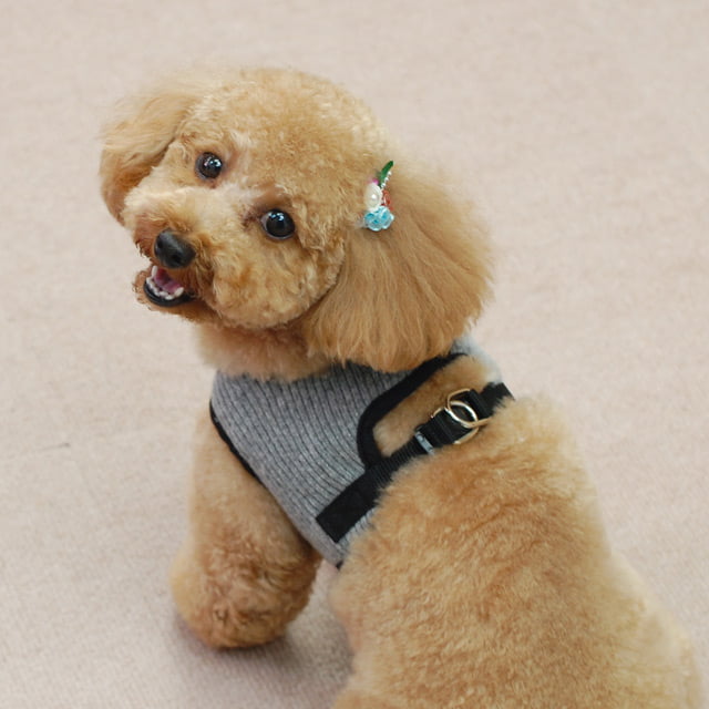 ���ѥϡ��ͥ�����������ASHU���˥åȥ������ϡ��ͥ���M�������ڥ꡼�ɤ�������