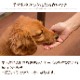 �����Ѥ���ġ��������ߤå���60g��������ǭ���ѡ������ߤä�