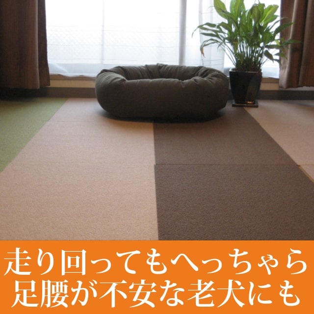 ��������������奿����ޥåȡ���Ƚ��60��45cm������������