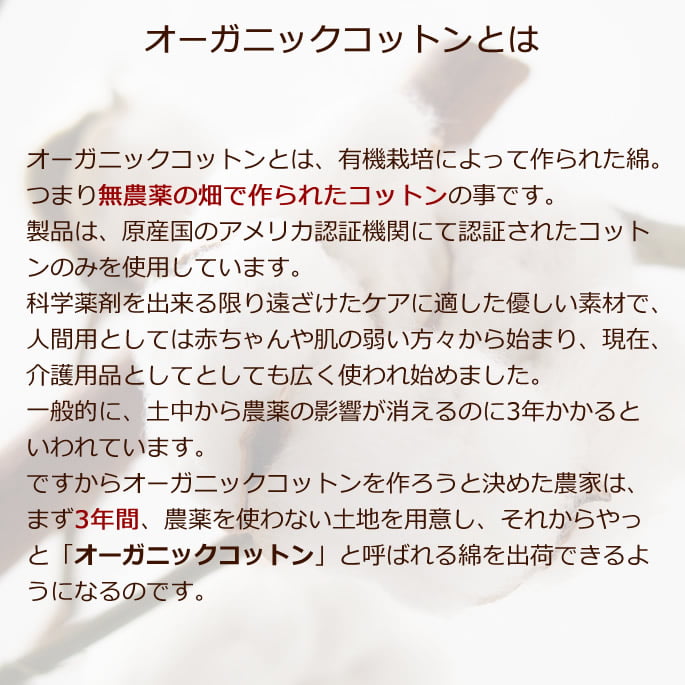 �ǥꥱ���ȥե��󥬡�/������������