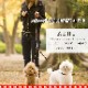 ¿Ƭ�����ˡ�ASHU��STEP�����ƥåס��꡼�ɡ���Ƭ�����꡼��