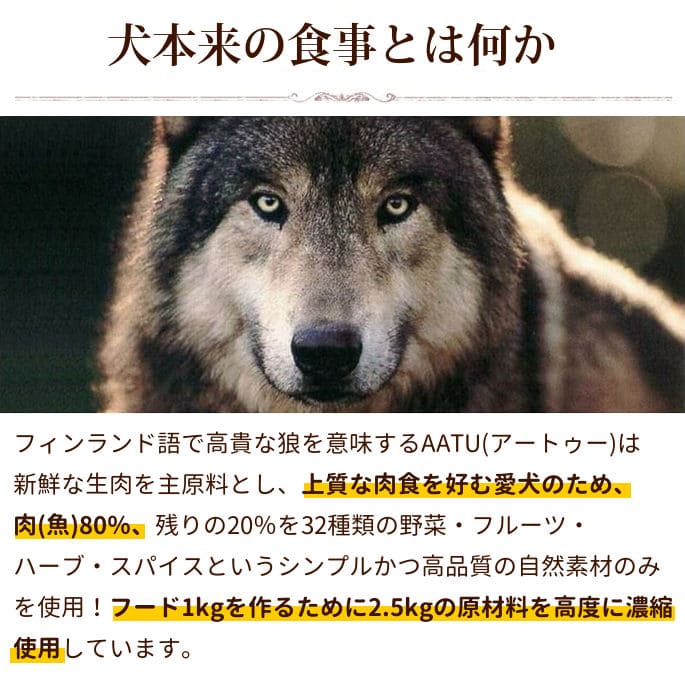 ڽ̵AATUʥȥ   ɥåա 1.5kg a0338