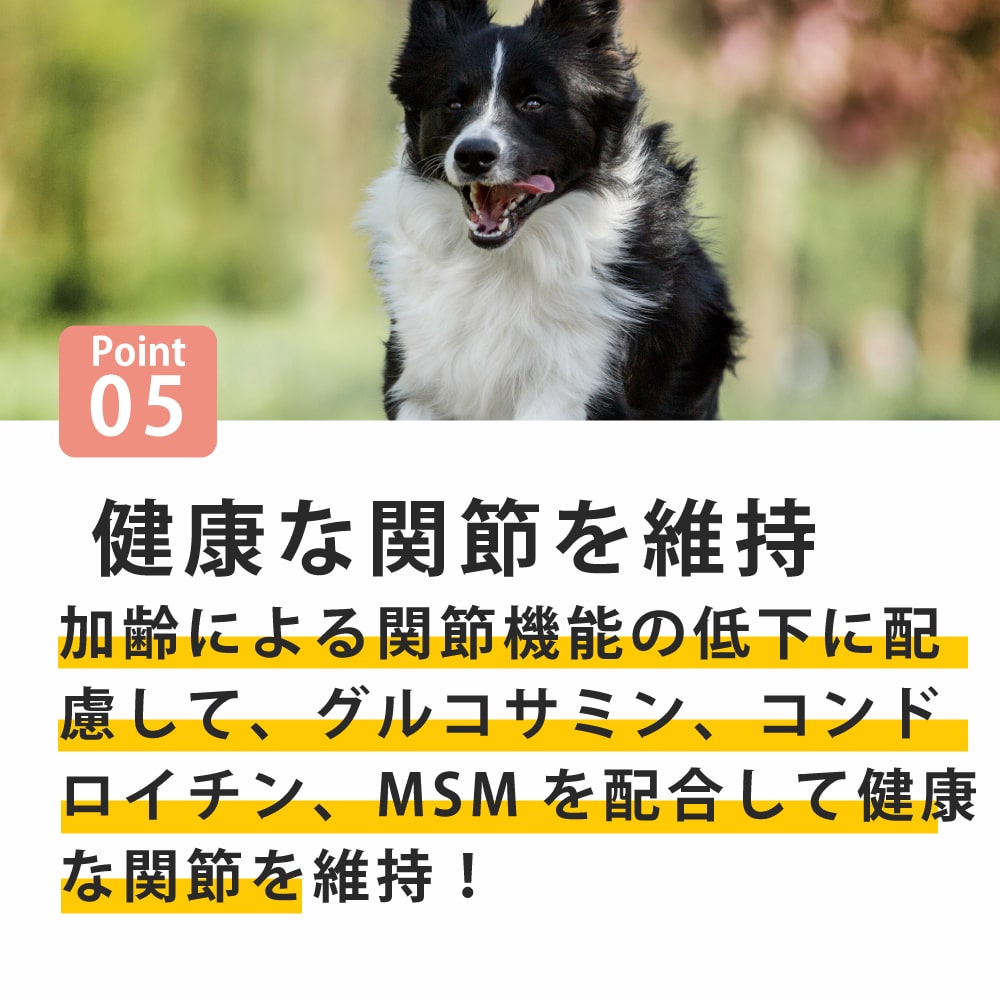 ڽ̵AATUʥȥ   ɥåա 1.5kg a0338˥ܿ2025ǯ10ʹ߽缡˥塼