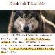 ڽ̵AATUʥȥ   ɥåա 1.5kg a0338