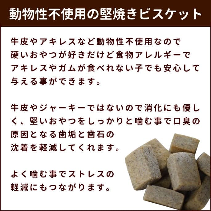 ��12�����۸��Ѥ���ġåǥ󥿥�Ҥ����ӥ����åȡ��ϡ��� 5�ޥ��å�+1��