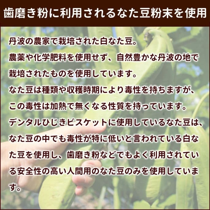 ��12�����۸��Ѥ���ġåǥ󥿥�Ҥ����ӥ����åȡ��ϡ��� 5�ޥ��å�+1��