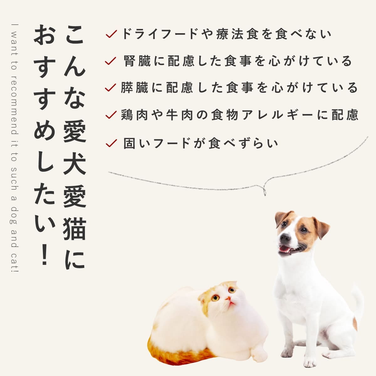 ������ǭ�� ���ꤴ�Ϥ� �����Υ��奦�ޥ�6��/12��/24��/���å� �ڥϥ���ɥ��࿩Ʋ�ۡ������ء�