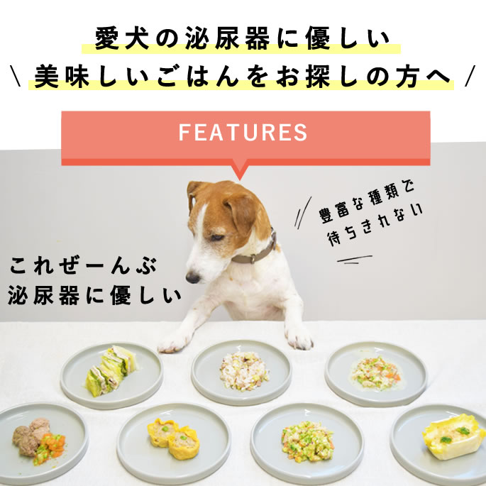 �����Ѽ��꿩��Ǣϩ�������ꤴ�Ϥ�7���ܥ��åȡڥϥ���ɥ��࿩Ʋ�ۡ���Ǣ���ͥ����7���ܡ�