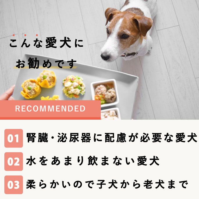 �����Ѽ��꿩��Ǣϩ�������ꤴ�Ϥ�7���ܥ��åȡڥϥ���ɥ��࿩Ʋ�ۡ���Ǣ���ͥ����7���ܡ�