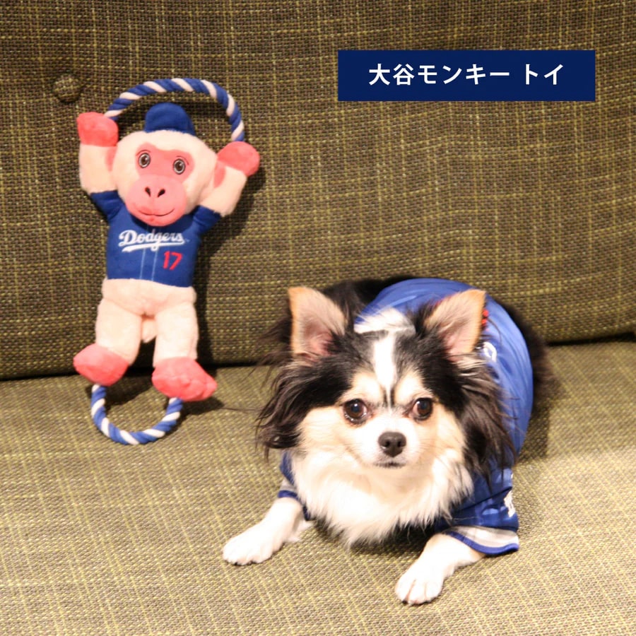 犬用おもちゃ MLB公式 ロサンゼルス ドジャース 大谷翔平選手モデル 犬