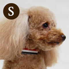 ѼءASHUȥꥳ롡顼S BR