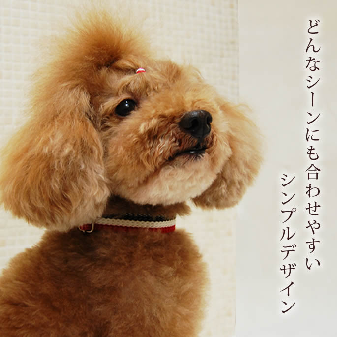 ѼءASHUȥꥳ롡顼S BR