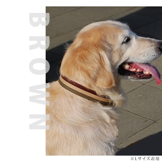 ѼءASHUȥꥳ롡顼S BR