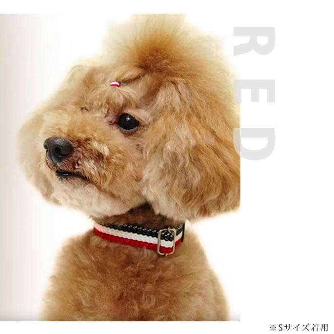 ѼءASHUȥꥳ롡顼S BR