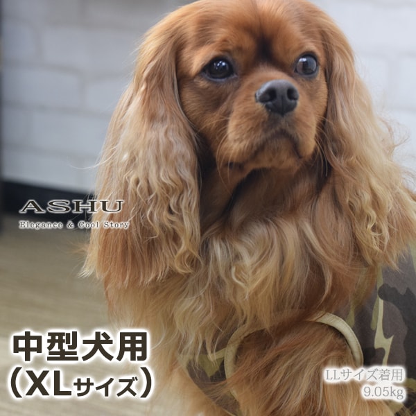 ѥϡͥ淿ASHUϡͥº̡XL