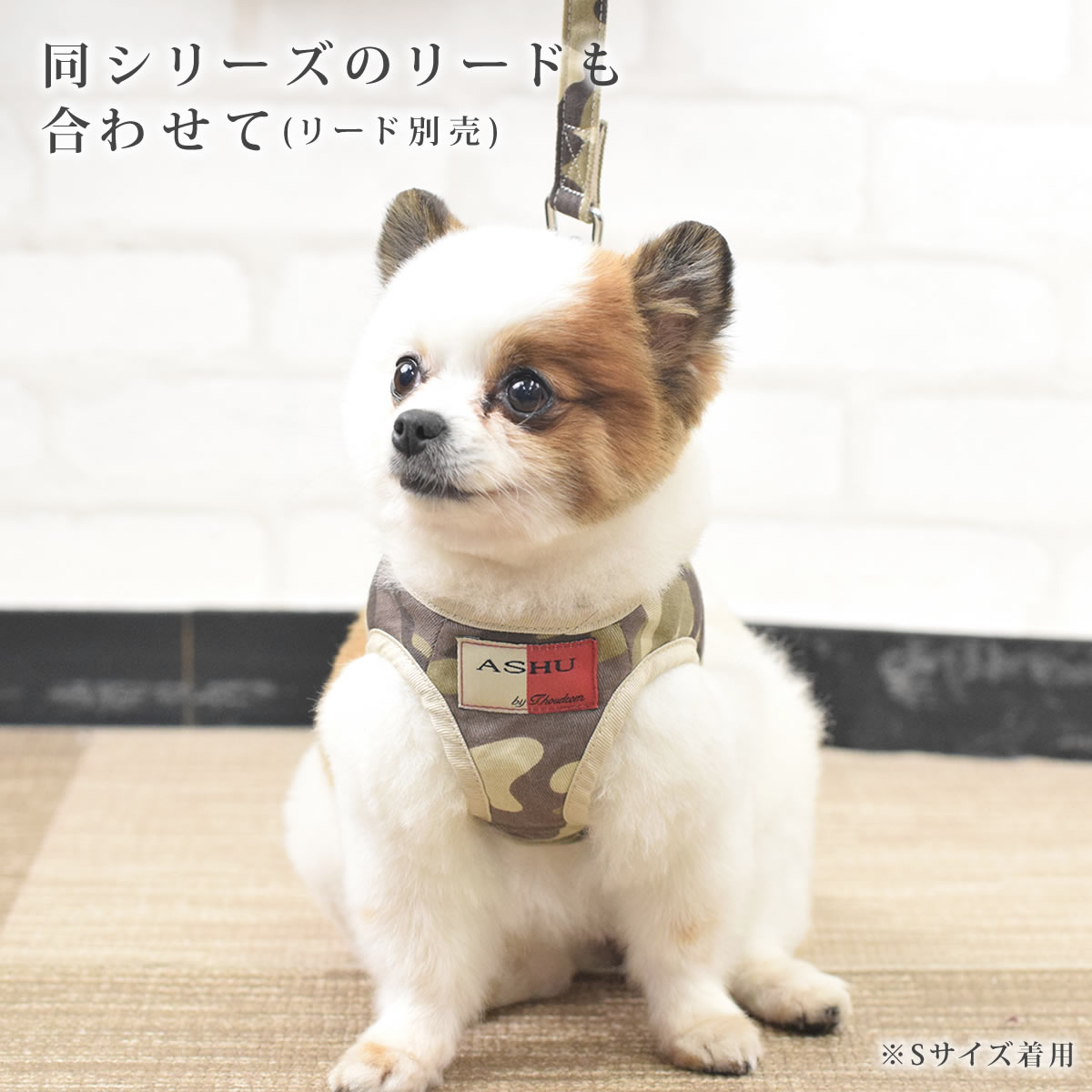 ѥϡͥ淿ASHUϡͥº̡XL