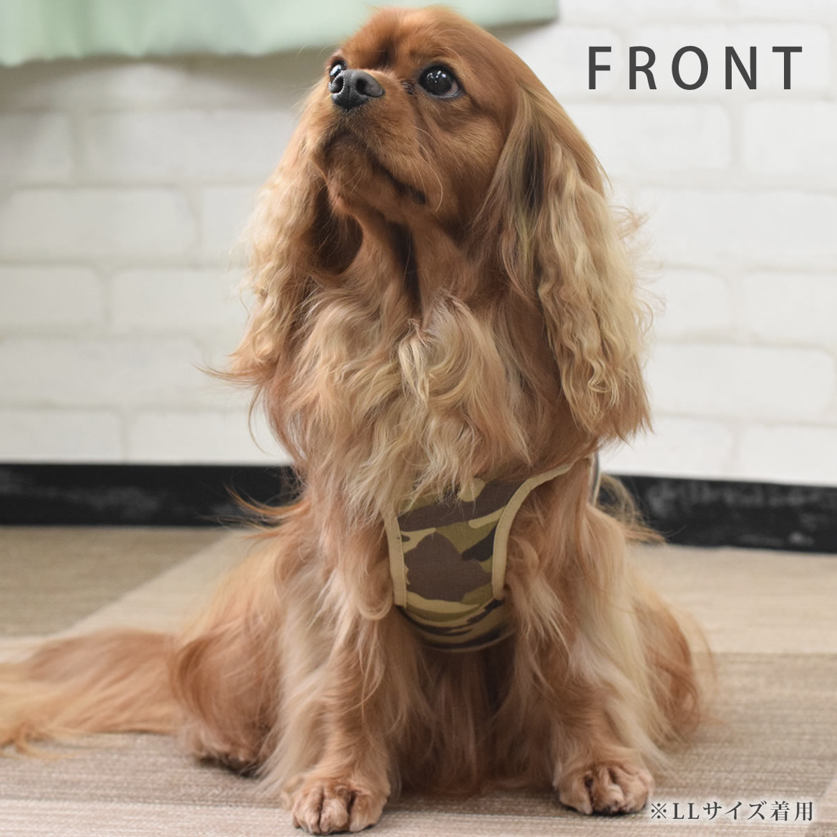 ѥϡͥ淿ASHUϡͥº̡XL