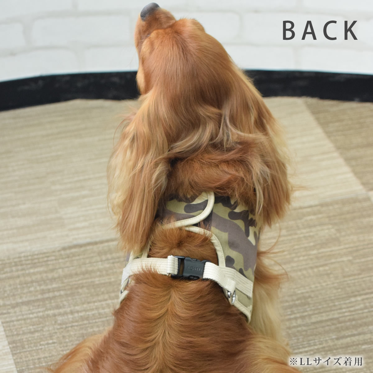 ѥϡͥ淿ASHUϡͥº̡XL