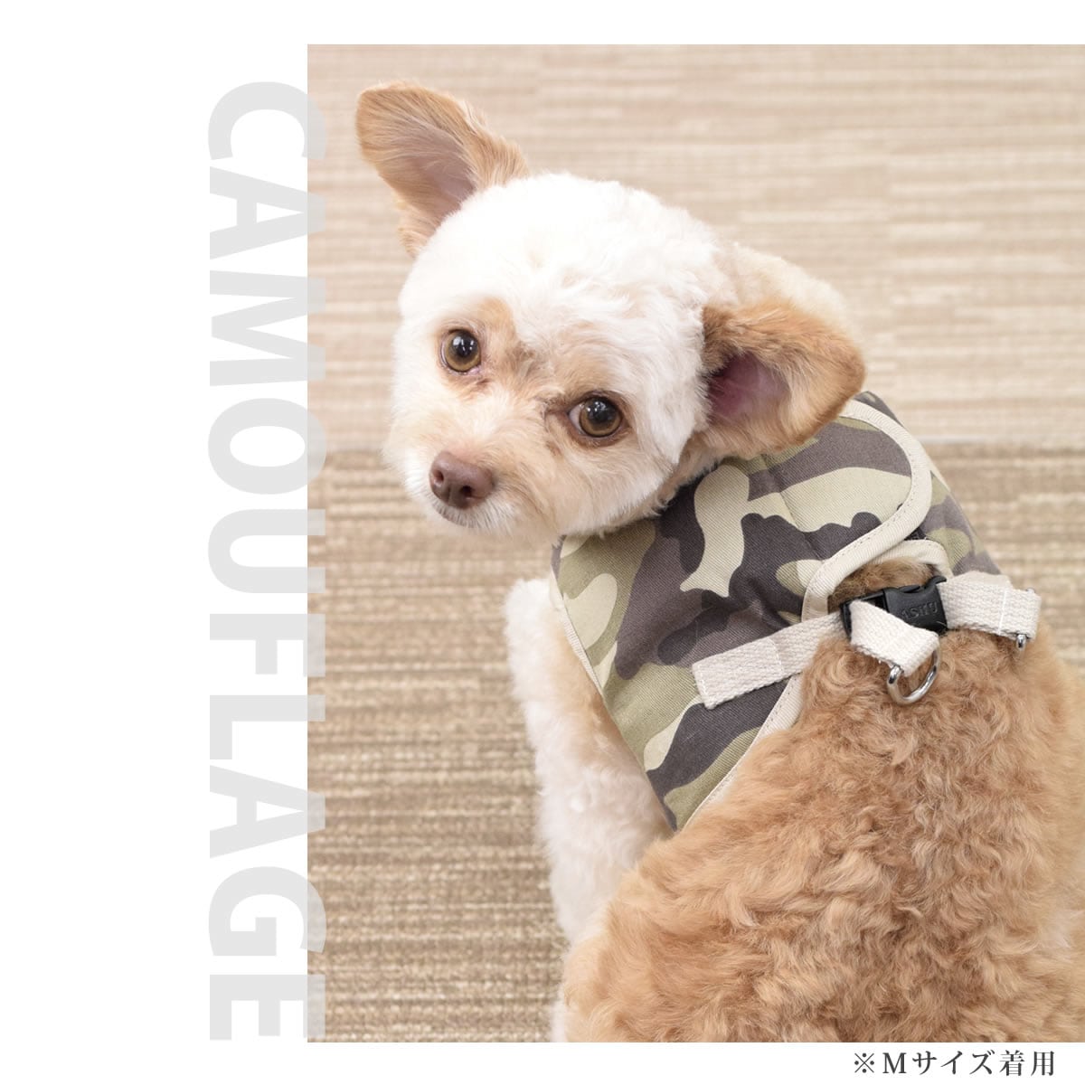 ѥϡͥ淿ASHUϡͥº̡XL