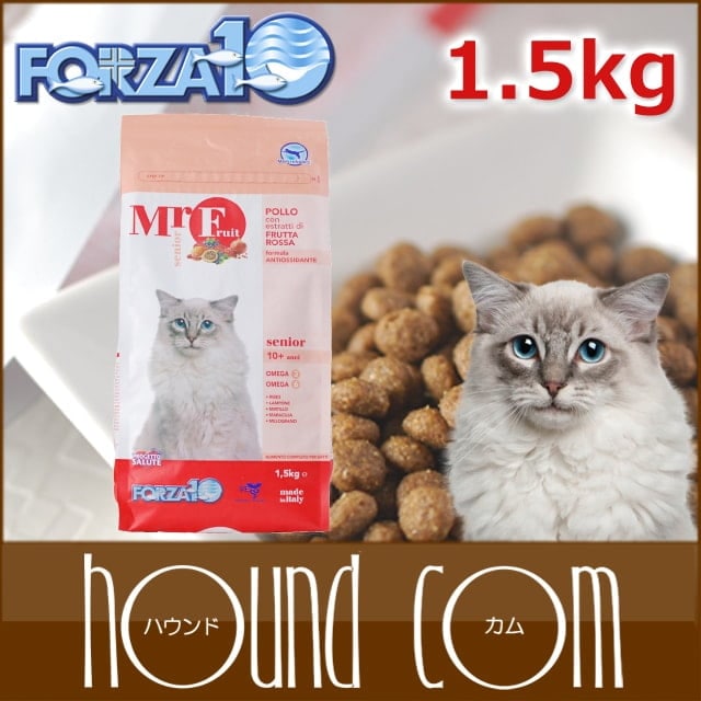 手乗りプチ猫?中古激レア8.5cm Flowering（フラワーリング） キャットチャリティ フラットポーチ