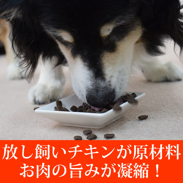 ڽ̵AATUʥȥ   ɥåա 1.5kg a0336ۢ2025ǯ10ʹ߽缡˥塼