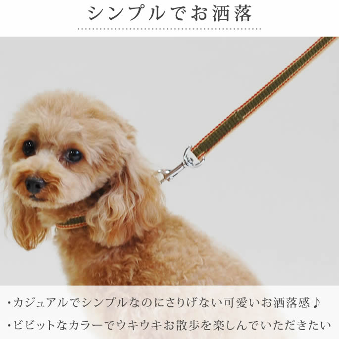 �������ѥ꡼�ɡ�ASHU�����饤��W�����󥰥꡼��
