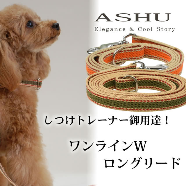 �������ѥ꡼�ɡ�ASHU�����饤��W�����󥰥꡼��