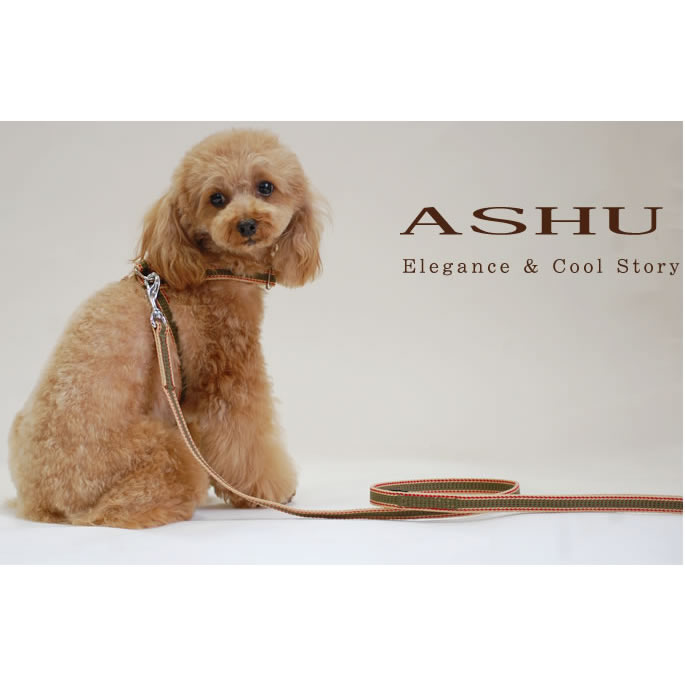 �������ѥ꡼�ɡ�ASHU�����饤��W�����󥰥꡼��