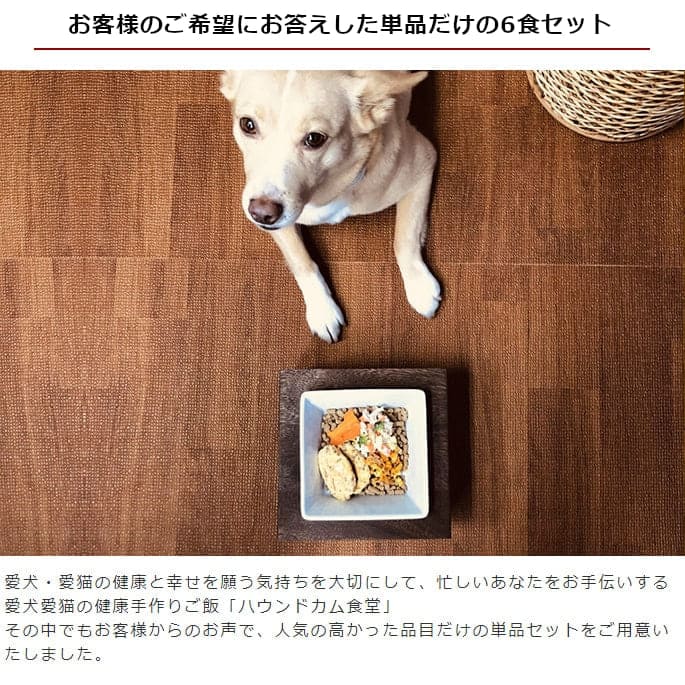 �����Ѽ��꿩���͵����ں�ñ��6�����åȡڥϥ���ɥ��࿩Ʋ��