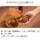 �����Ѥ���ġ��������ߤå���10��+1�ޥ��åȡ�������ǭ���ѡ������ߤä�