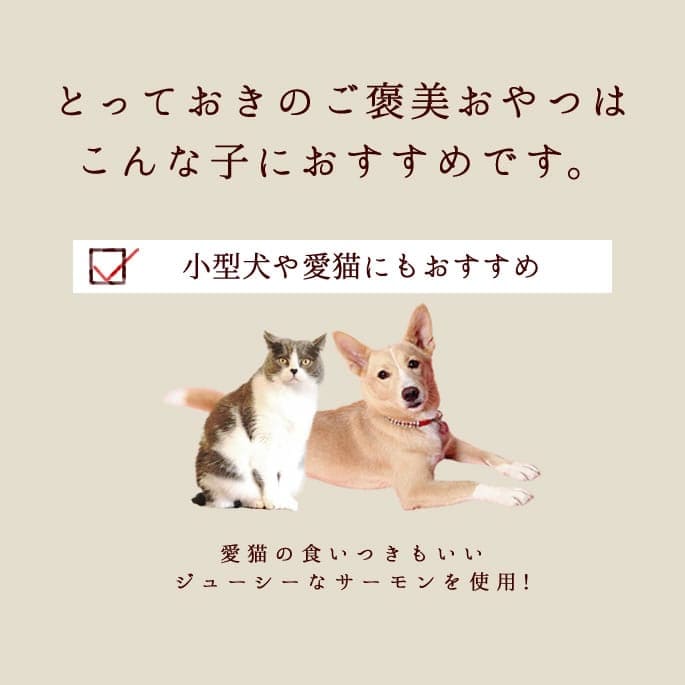 ��12������ �ȤäƤ����ΤҤȤ����ƥ꡼�� ������� 100g 5��+1�ޥ��å� �������