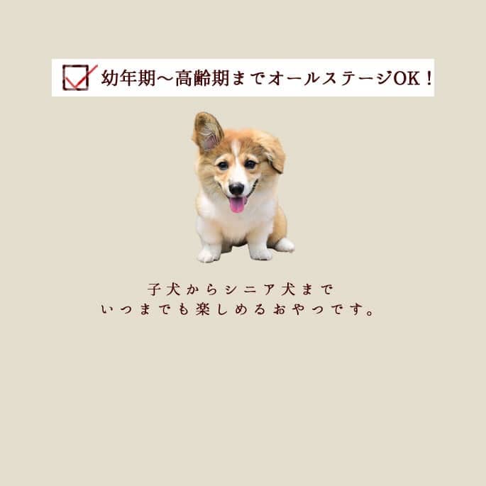 ��12������ �ȤäƤ����ΤҤȤ����ƥ꡼�� ������� 100g 5��+1�ޥ��å� �������