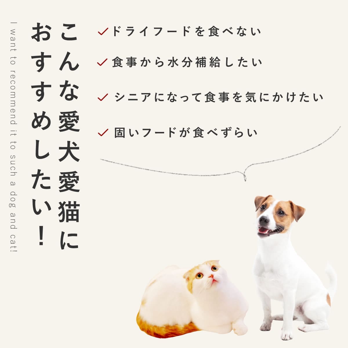  ꤴϤ Ƥ 6/12/24/å ڥϥɥ࿩Ʋۡء