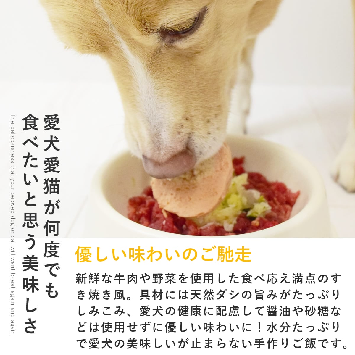 ������ ���ꤴ�Ϥ� �����Ƥ��� 6��/12��/24��/���å� �ڥϥ���ɥ��࿩Ʋ�ۡ������ء�