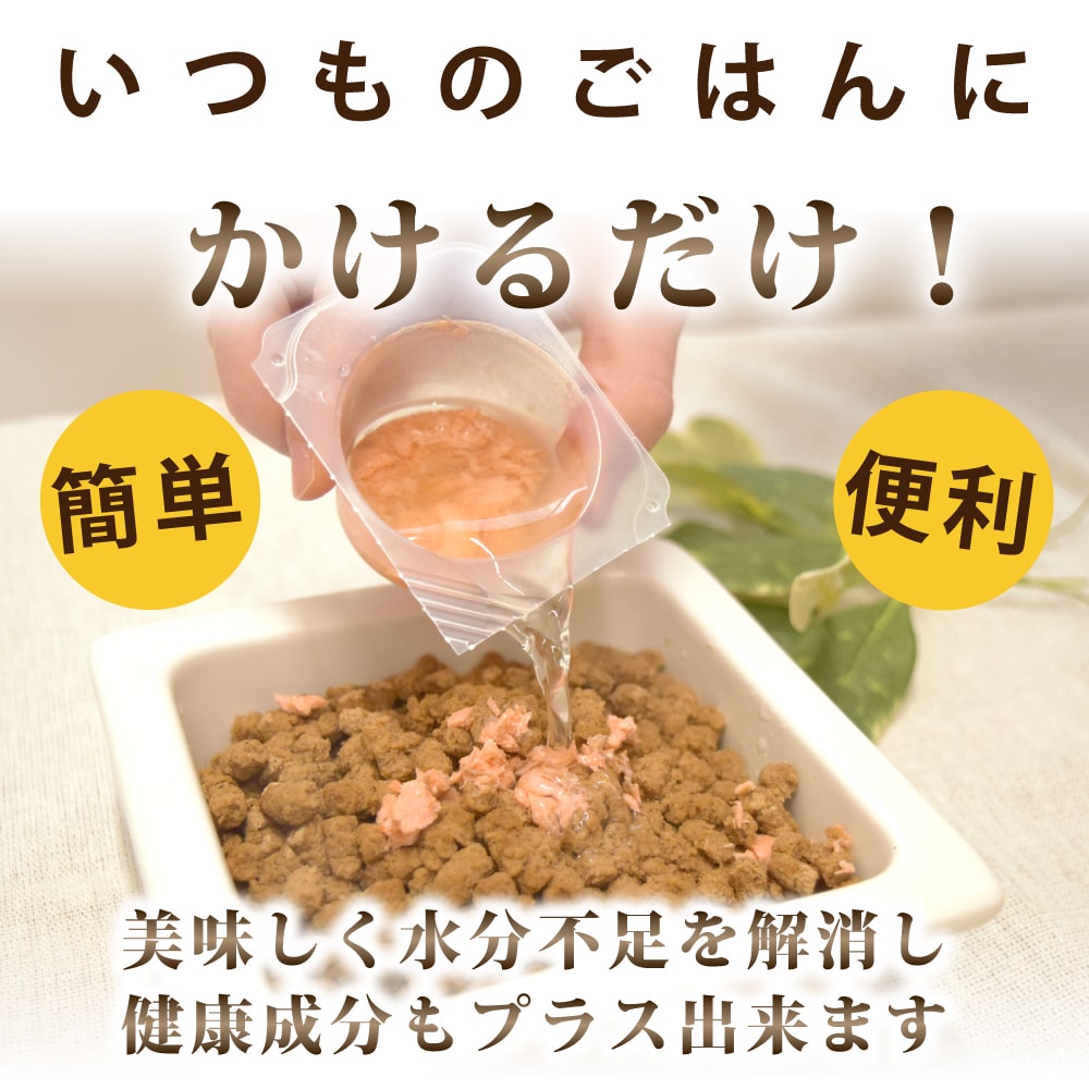 ǭ  Ǣϩ1(6)/5ޡۡϥɥ࿩Ʋ