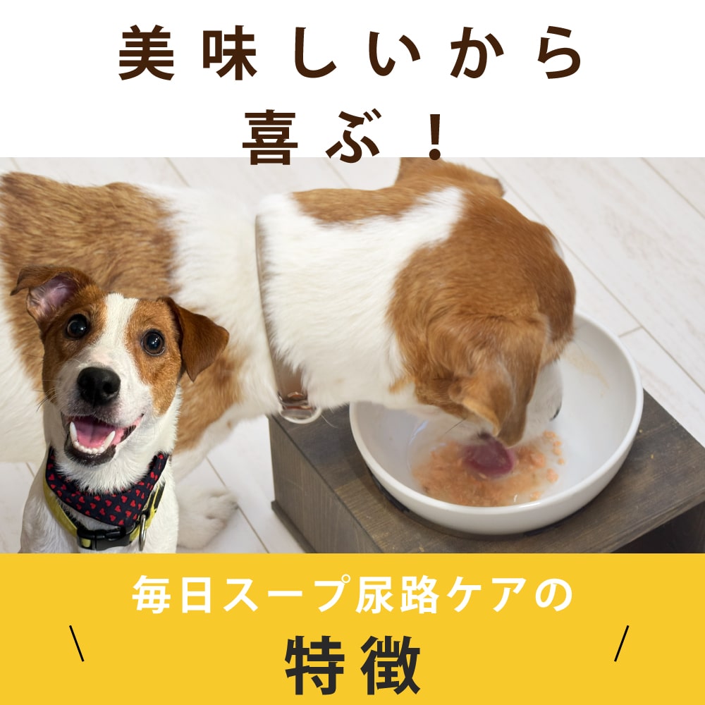 ǭ  Ǣϩ1(6)/5ޡۡϥɥ࿩Ʋ