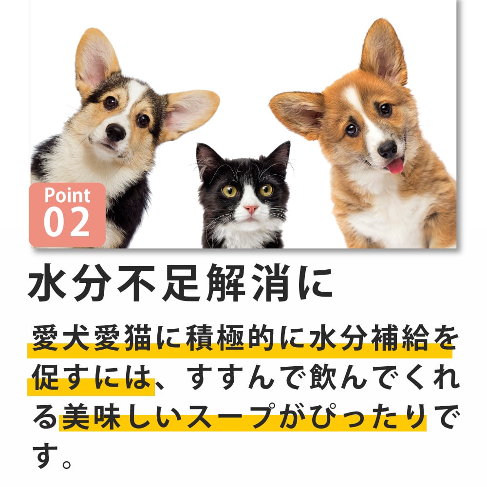 ǭ  Ǣϩ1(6)/5ޡۡϥɥ࿩Ʋ