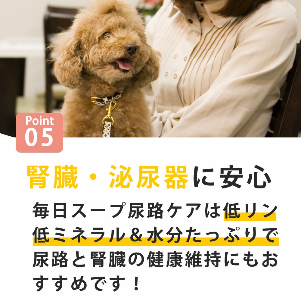 ǭ  Ǣϩ1(6)/5ޡۡϥɥ࿩Ʋ