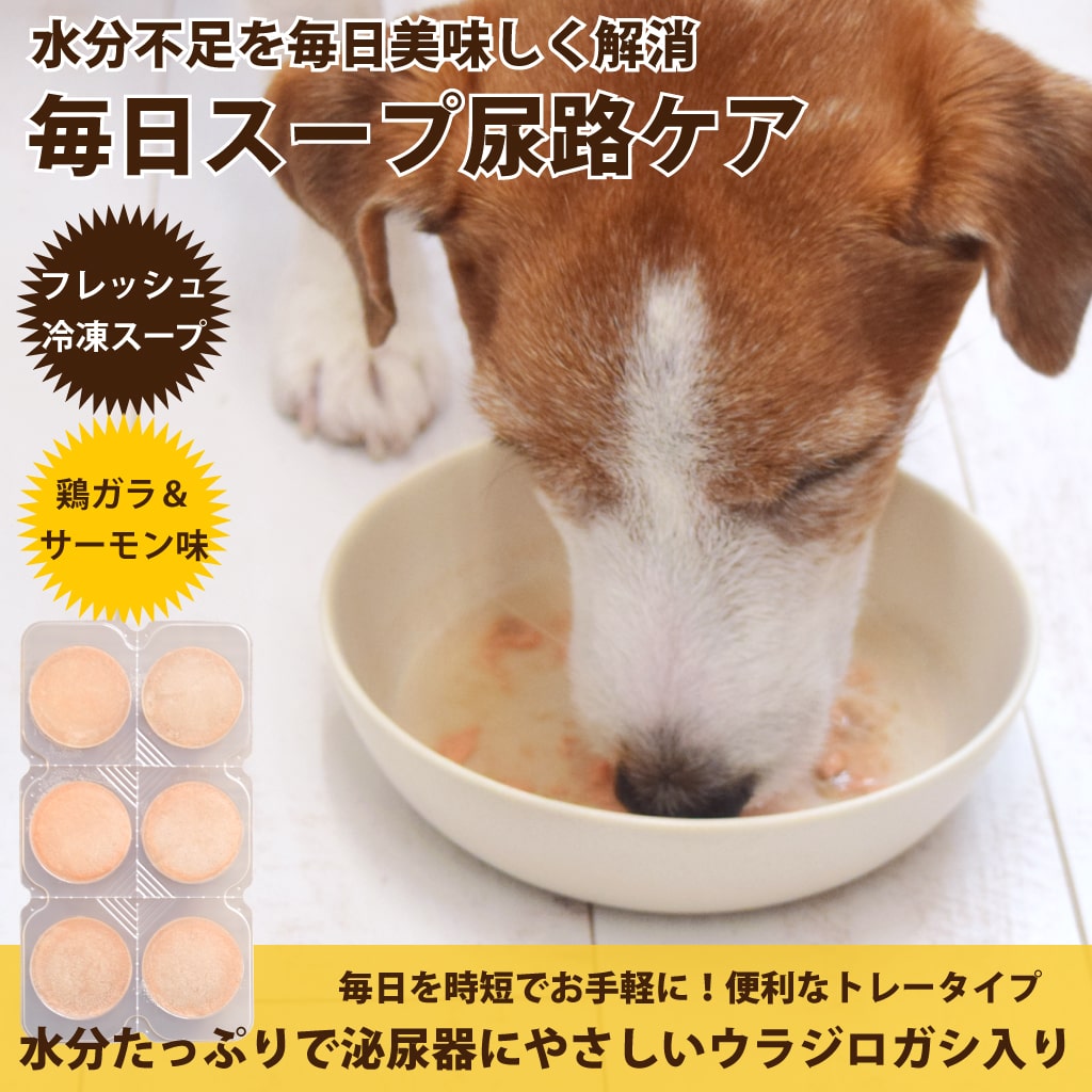 ǭ  Ǣϩ1(6)/5ޡۡϥɥ࿩Ʋ