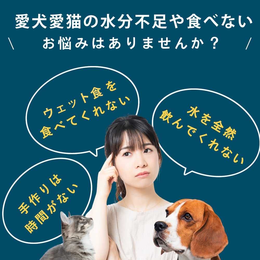 ǭ  Ǣϩ1(6)/5ޡۡϥɥ࿩Ʋ