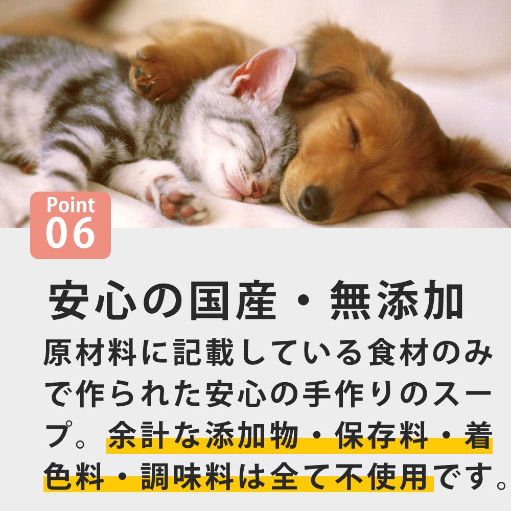 ǭ  Ǣϩ1(6)/5ޡۡϥɥ࿩Ʋ