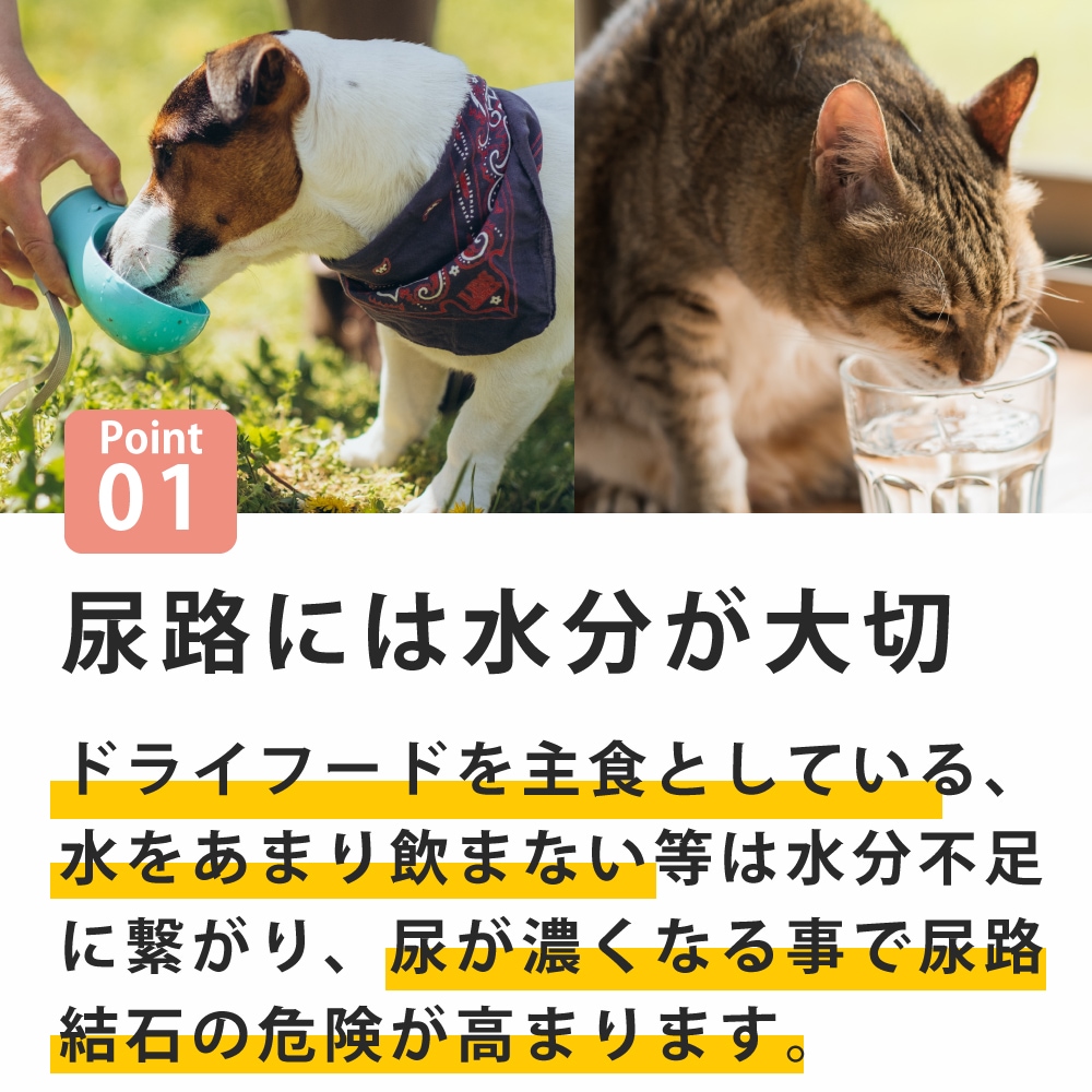 ǭ  Ǣϩ1(6)/5ޡۡϥɥ࿩Ʋ