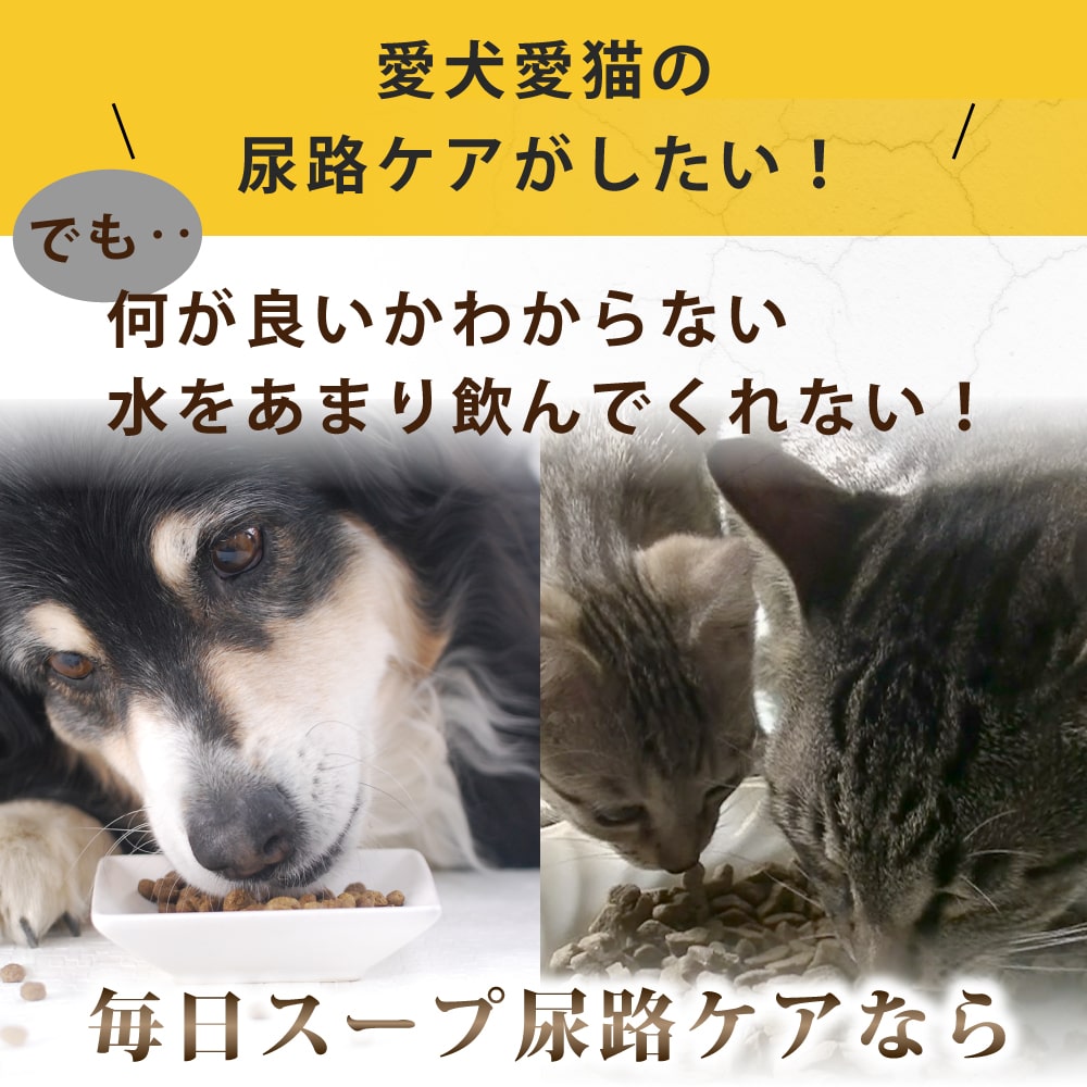 ǭ  Ǣϩ1(6)/5ޡۡϥɥ࿩Ʋ